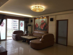 中信星光名庭 罗湖东门151平1房总价1050万_深圳罗湖区东门二手房图片