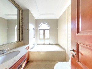 珠江东岸 5室2厅 265.3㎡ 满五年_珠江东岸二手房阳台图片6