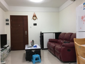 阳光里雅居 2室2厅 45㎡深圳南山区南山中心租房图片