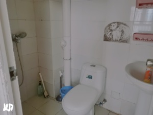 枫叶雅堤 1室1厅 31.67㎡_枫叶雅堤租房卫生间图片5