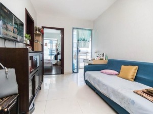 雍翠华府 1室1厅 36.7㎡ 简装深圳罗湖区布心二手房图片