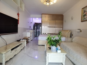 深港1号 1室0厅 42.04㎡ 精装 深港1号 1室0厅 42.04㎡ 精装深圳福田区皇岗二手房图片