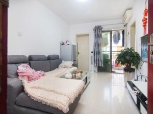 联城美园 罗湖38平1房，南北通仅售163万深圳罗湖区春风路二手房图片