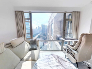 东方都会大厦 罗湖35平1房，总价248万深圳罗湖区新秀二手房图片