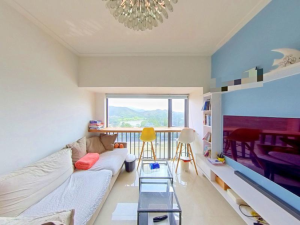 幸福万象大厦 罗湖口岸49平两房总价300万深圳罗湖区罗湖口岸二手房图片