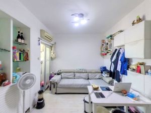 白金时代 宝安精装2房，南向采光佳深圳宝安区新安二手房图片