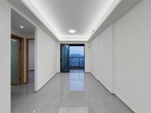 京基天珺府 3室2厅 51㎡ 精装深圳罗湖区布心二手房图片