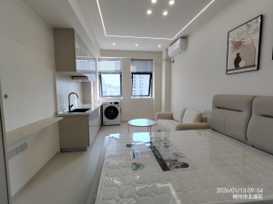 万宝国际城乐活天地(B区) 1室1厅 30.43㎡ 精装郴州北湖区五岭二手房图片