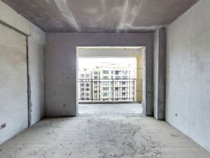 万宝雅居西区 3室2厅 115㎡ 毛坯郴州北湖区五岭二手房图片
