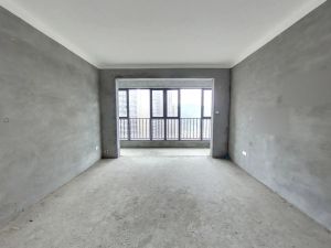 湘域中央花园 4室2厅 126.44㎡ 毛坯郴州北湖区骆仙二手房图片